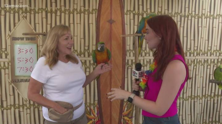 Fairgoers enjoy Georgia National Fair despite rainy weather