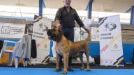 XXI Encuentro Monográfico del Presa Canario