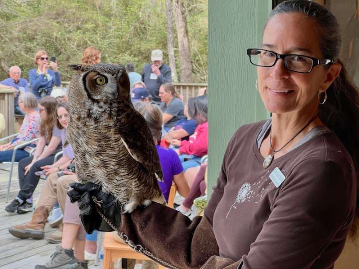 Wild Bird Adventures: Live Raptors and Education Program at Fulshear Branch Library