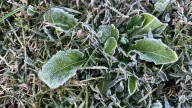 Freezing conditions possible Thursday night