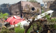 AAIB declines request to include representative in AI plane crash probe team: Pilots’ grouping