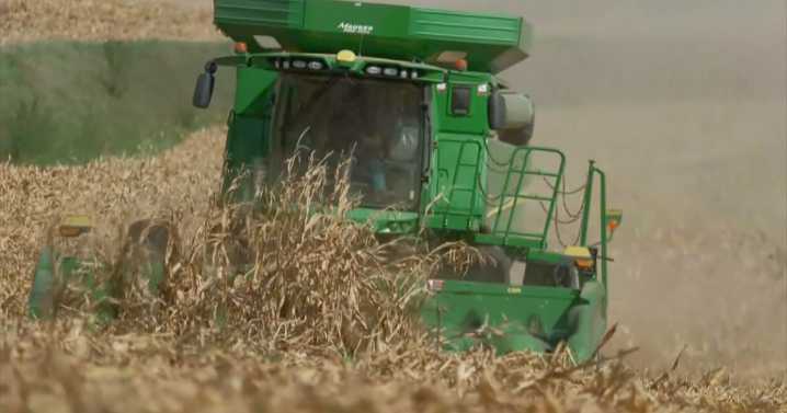 Wisconsin soybean farmers feeling the effects as international trade tensions continue