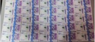 Así cayeron 'Los Nómadas', red delictiva señalada de comercializar pesos y dólares falsos a gran escala