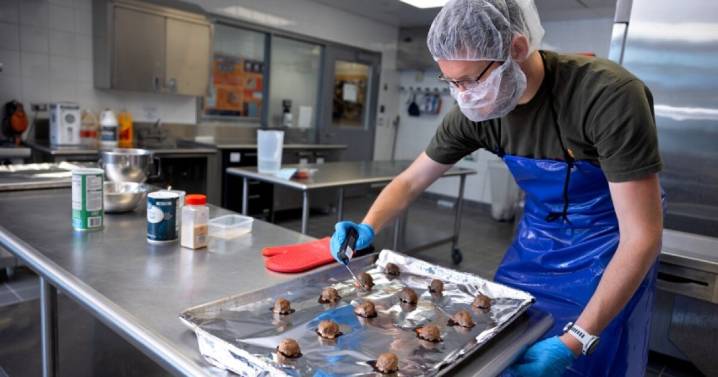 New York apples core to innovative meatballs