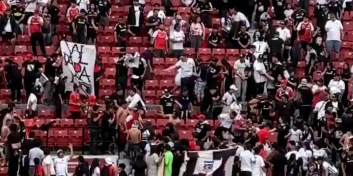 Las impactantes imágenes en la tribuna de Colo Colo: barras se agredieron con cuchillos y muletas