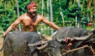 I Want Even Layman to Understand My Film, Says Rishab Shetty