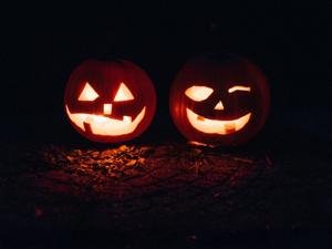 Research reveals which spooky states love Halloween the most