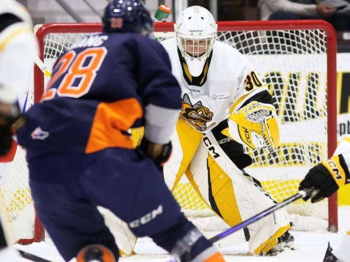 Sarnia Sting rally past Flint Firebirds for third win in four games