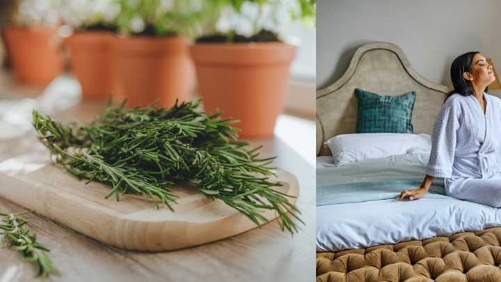 Usos y beneficios de hervir romero en casa para mejorar el ambiente y la salud del hogar