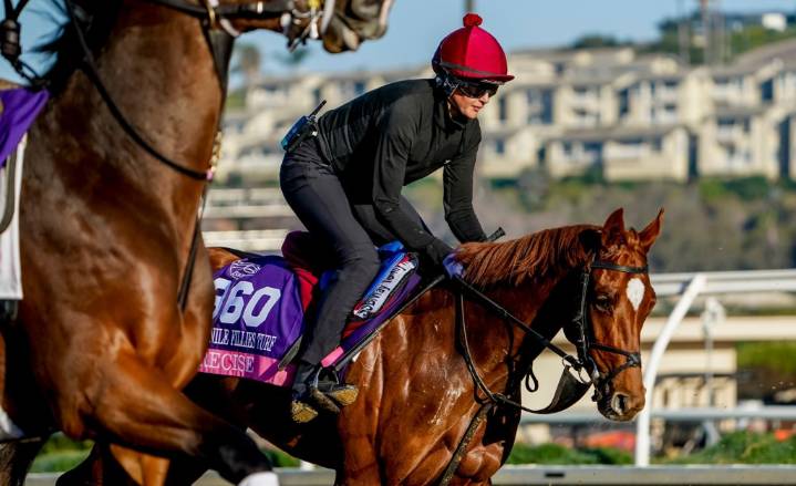 Breeders’ Cup begins at Del Mar with memories of D. Wayne Lukas, who can be caught on Friday
