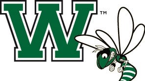 Watch Williamston football's go-ahead touchdown in win over Haslett