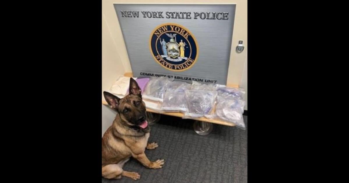 Saratoga Springs traffic stop leads to drugs, arrest