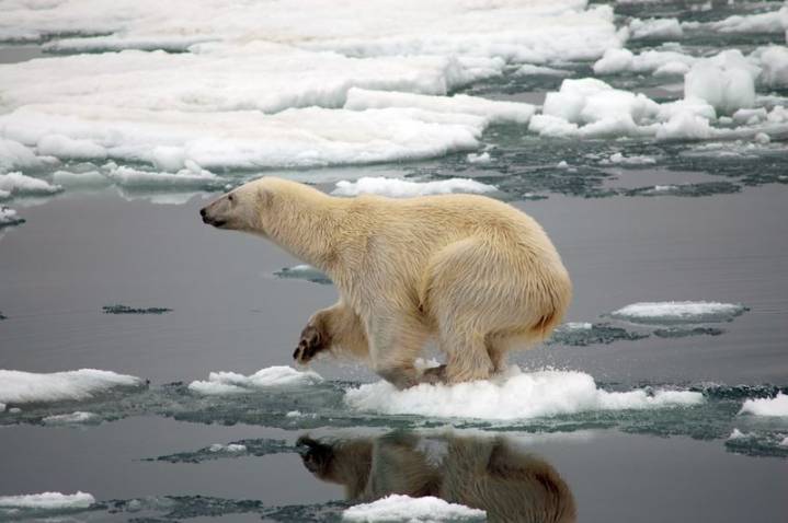How Arctic ice melt is linked to India’s floods