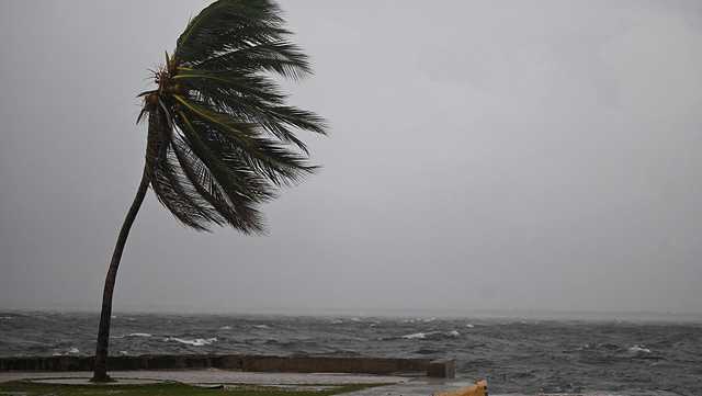 Jamaican diaspora in Mass. mobilize aid as island braces for Melissa