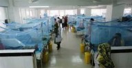 Bangladesh dengue toll reaches 215 in 2025, over 50,000 cases reported so far