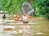 Lluvias devastan cuatro estados; hay 32 muertos; Hidalgo, Puebla, Querétaro y Veracruz