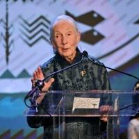 'Conservation giant': World reacts to Jane Goodall's death