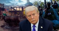 Cárteles controlan México, pero Sheinbaum es una ‘mujer muy valiente’: Trump