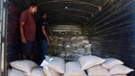Entregan semillas a productores de temporal en Rosario
