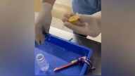Watch: Passenger from Dubai held at Delhi airport with gold hidden in bottle cap