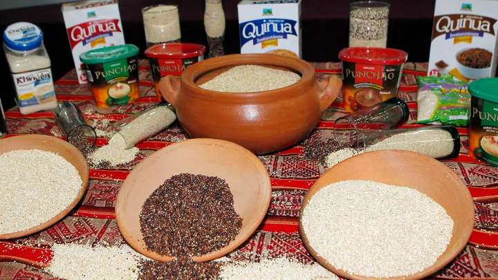 Ayacucho exporta quinua al mundo, pero su población casi no la consume