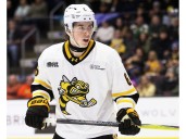 Sarnia Sting settle for one point in overtime loss to Barrie Colts