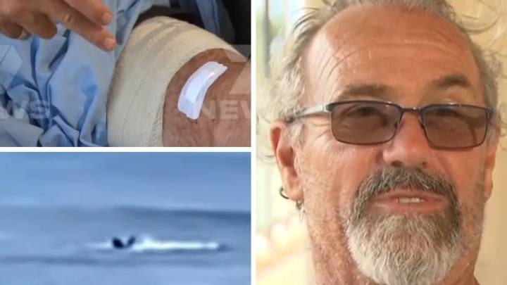 Man attacked by shark at Kangaroo Island tourist spot