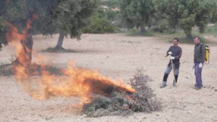 Este jueves comienza el periodo de quemas agrícolas en Aragón hasta el 31 de marzo