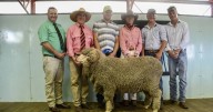 Cottage Park Merino stud sale results, top price and average