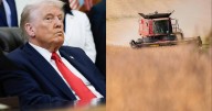 Trump to offer $3 billion in aid to farmers despite shutdown, administration officials say