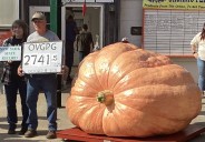 SLIDESHOW: Winners announced for Ohio Valley Giant Pumpkin Growers Weigh