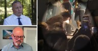 Experts react to deputy pepper spraying fan at Richmond concert: 'Doesn't appear to be appropriate'