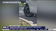 Python slithers into car at South Florida drive
