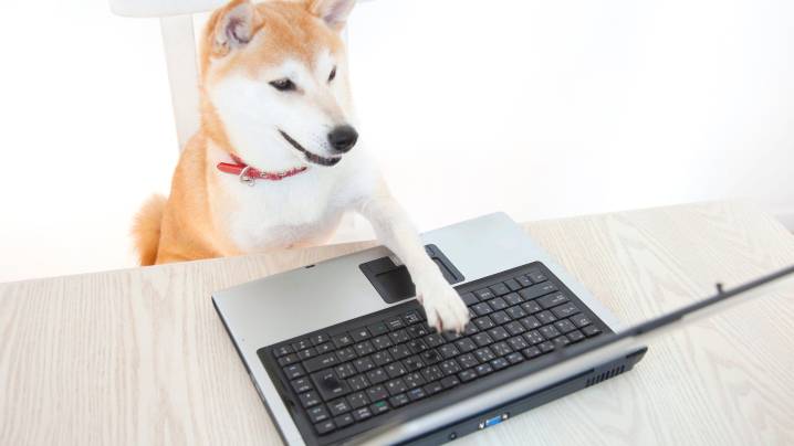A breakdown of Iowa DOGE's 45 recommendations to Gov. Kim Reynolds