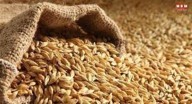 Himachal Govt procures 140 quintals of Barley from Pangi