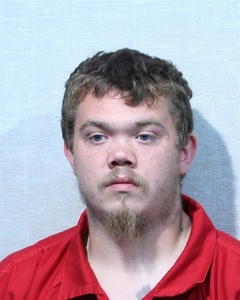 Convicted felon arrested for illegal firearm possession