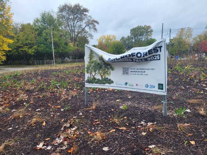 Warren residents concerned about appearance of microforest