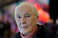 Jane Goodall, renowned primatologist and conservationist, dies at 91