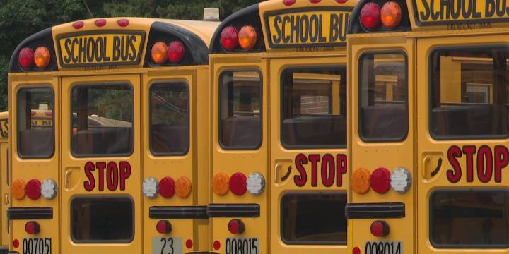 Louisiana state agencies share safety tips to highlight National School Bus Safety Week