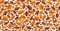 You'll need 'crisp vision' to spot the acorn hiding in autumn brainteaser