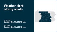 Weather alert issued for strong winds in part of Pennsylvania until Sunday night