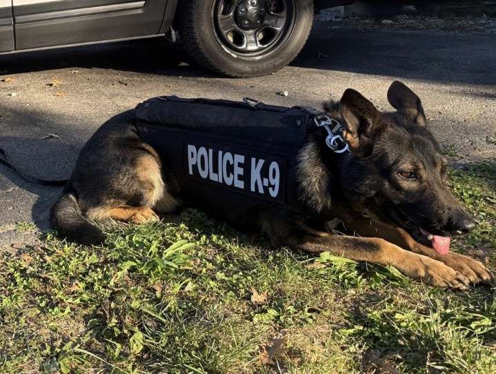 YPD, YSU K9s receive protective body armor with help of fundraiser
