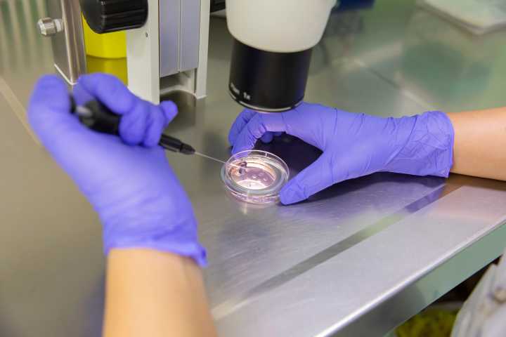 Trump administration expands IVF and other fertility treatment coverage