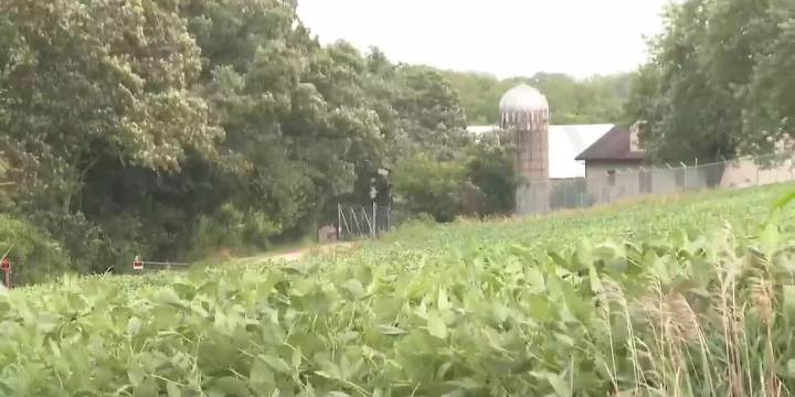 Lead veterinarian at Ridglan Farms has license suspended