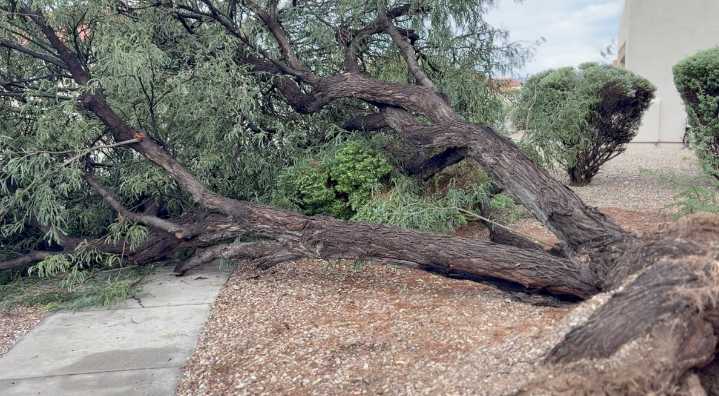 Eastside storms cause damage to some properties