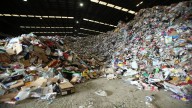 ‘Red bins won’t be collected by 2030’: Sydney warned of looming waste crisis