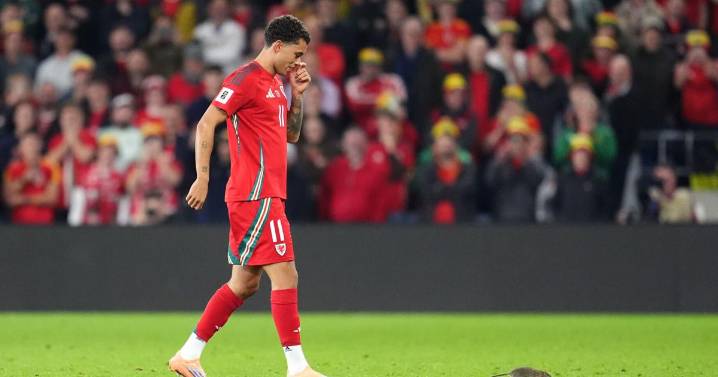 A rat briefly delays World Cup qualifier between Wales and Belgium