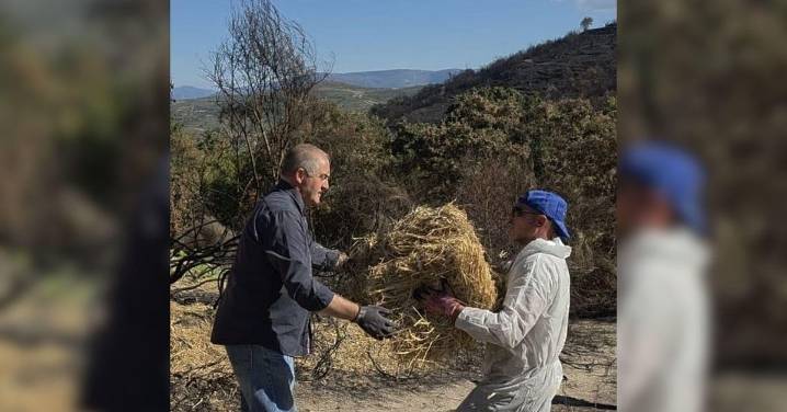 ¿Sabe usted que el alcalde de Manzaneda y su ex segundo coincidieron en una tarea solidaria?