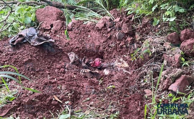 Localizan presunta fosa clandestina cerca del poblado San Luis de Lozada, en Tepic