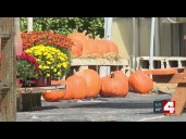 Fall festivities in STL start slow with 4th warmest start to October on record